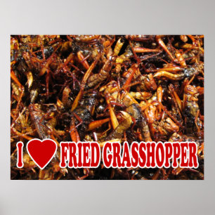 Póster Eu amo (coração) o gafanhoto fritado