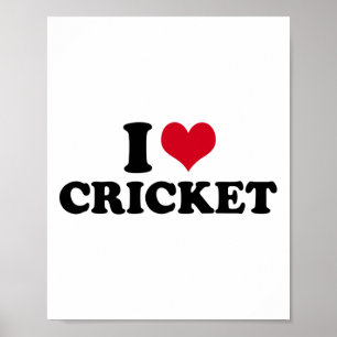 Poster Eu Amo Críquete