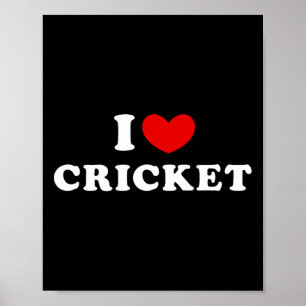 Poster Eu Amo Críquete 