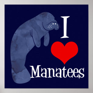 Póster Eu Amo Manatees