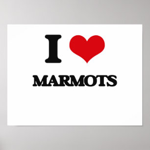 Poster Eu amo marmota