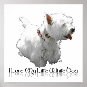 Póster Eu Amo Meu Cachorrinho Branco - Westie