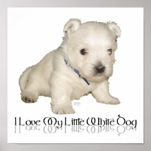 Póster Eu Amo Meu Cachorrinho Branco - Westie Filhote