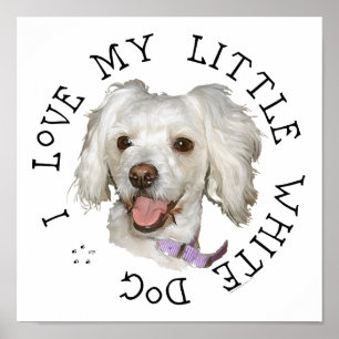 Poster Eu Amo Meu Cachorro Branco Pequeno Poodle / Bichon