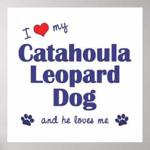 Póster Eu amo meu cão do leopardo de Catahoula (o cão