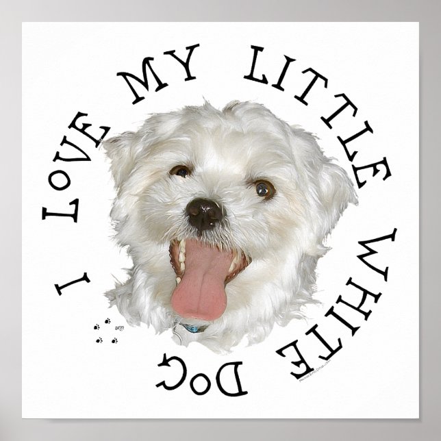 Poster Eu Amo Meu Pequeno Cachorro Branco Maltês (Frente)