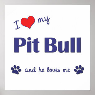 Póster Eu amo meu pitbull (o cão masculino)