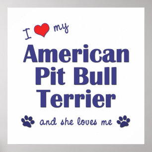 Poster Eu amo meu pitbull Terrier americano (o cão fême