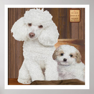 Poster Eu amo meu Poodle