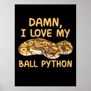 Poster Eu Amo Meu Python Ball