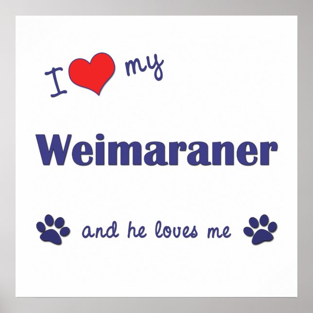 Póster Eu Amo Meu Weimaraner (Cachorro Masculino) (Frente)