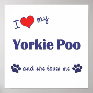 Poster Eu Amo Meu Yorkie Poo (Cachorro feminino)
