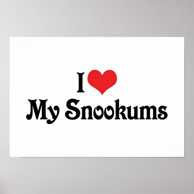 Poster Eu Amo Meus Snookums (Frente)
