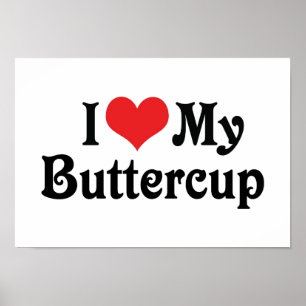 Póster Eu Amo Minha Buttercup