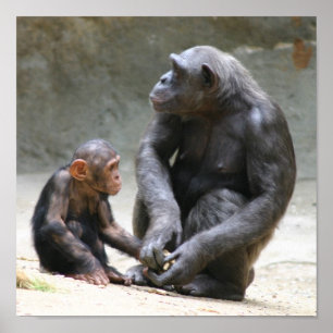 Poster Eu amo minha mãe