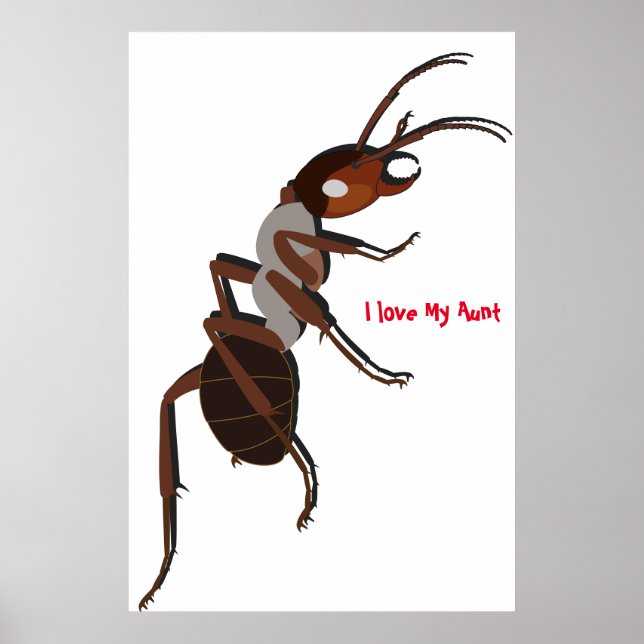 Poster Eu amo o pôster da minha tia (Frente)