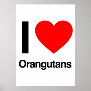 Póster eu amo orangotango