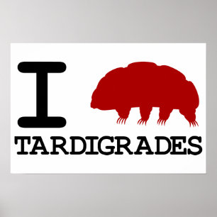 Póster Eu amo Tardigrades