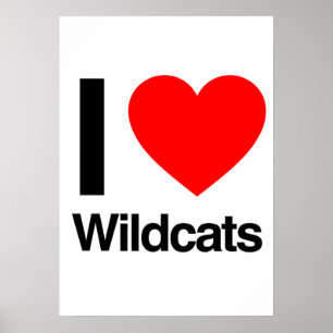 Poster eu amo wildcats