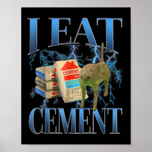 Poster Eu Comi Cimento Amaldiçoado Gato Engraçado Memória