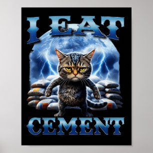 Poster Eu Comi Cimento Amaldiçoado Gato Engraçado Memória