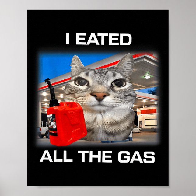 Poster Eu Comi Todo O Gás Gato Bobo Olhando Meme Engraçad (Frente)