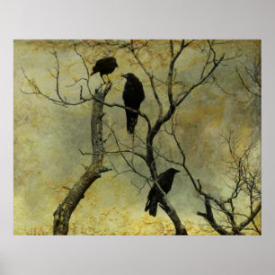 Póster Eu Conheço Um Segredo