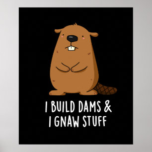 Poster Eu Construí Barragens E Eu Ganhei Coisas Com O Bea