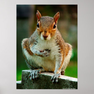 Póster "Eu Cruzo Meu Coração"