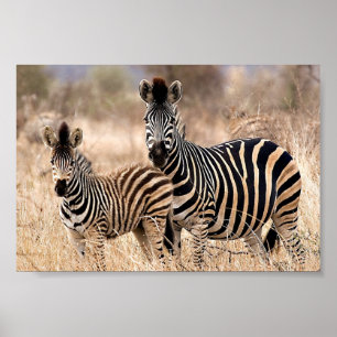 Poster Eu e a mamãe