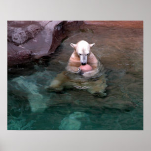 Póster Eu e a minha bola