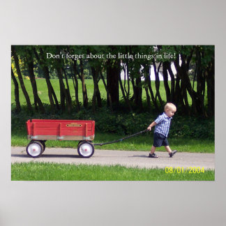 Poster Eu e minha carroça