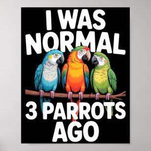 Poster Eu Era Normal Há 3 Papagaios Camisa Divertida Para