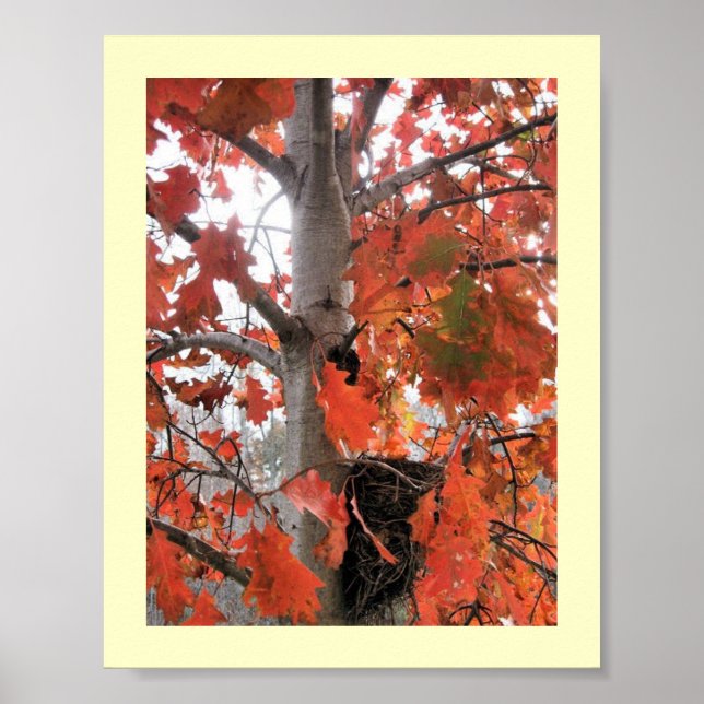 Póster Eu espio... (Frente)