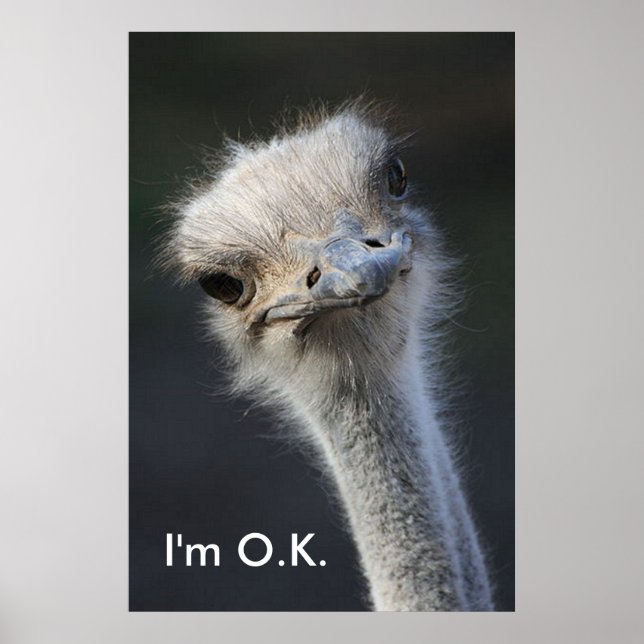 Poster Eu estou bem. (Frente)