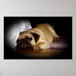 Póster 'Eu exulto no amor que eu encontro Everyday