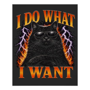 Póster Eu Faço O Que Quero Gato Preto Rebelde Legal