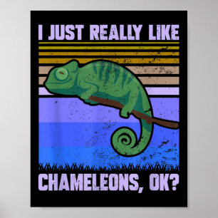 Poster Eu Gosto Muito De Camelões, Ok, Engraçado Citação