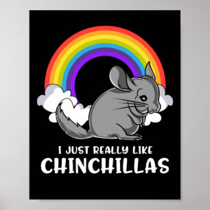Poster Eu Gosto Muito De Chinchillas Pet Bonito