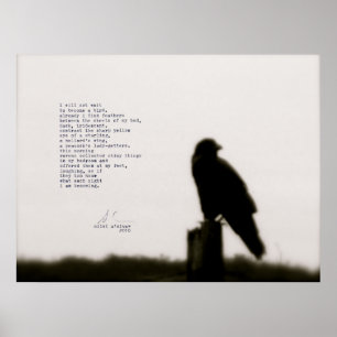 Poster "eu não esperarei "