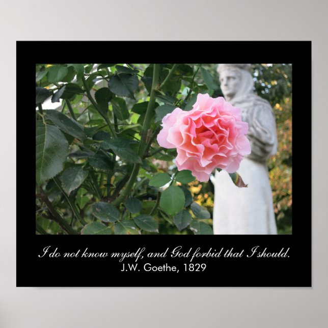 Póster Eu não me conheço, e... (citação de J.W. Goethe) (Frente)