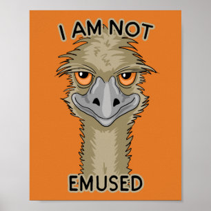 Poster Eu Não Sou Embutido Engraçado Emu Pun   Laranja