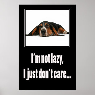 Poster Eu não sou preguiçoso mim apenas não me importo