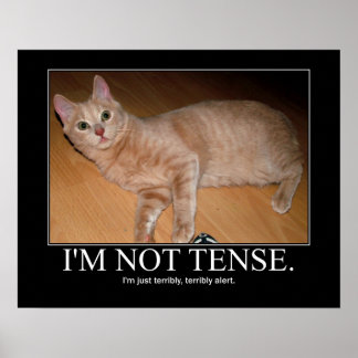 Póster Eu não sou trabalho de arte de gato tenso