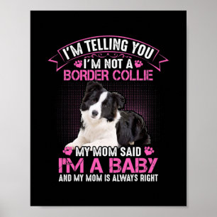 Poster Eu não sou uma fronteira Collie, minha mãe disse q