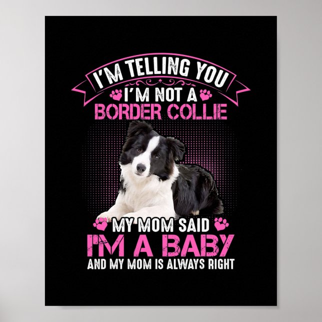 Poster Eu não sou uma fronteira Collie, minha mãe disse q (Frente)