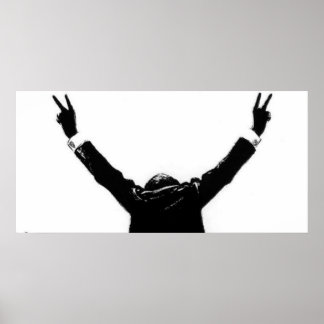 Poster Eu não sou uma louca por Richard M. Nixon