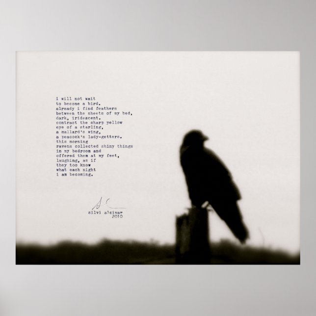 Poster "eu não vou esperar" (Frente)