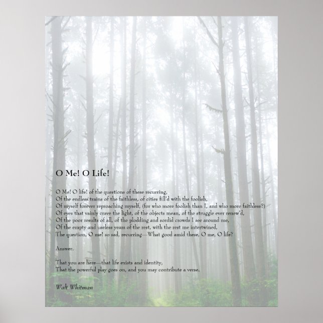 Poster Eu! Oh Life! Walt Whitman Poem Wooded Path 1 (Frente)