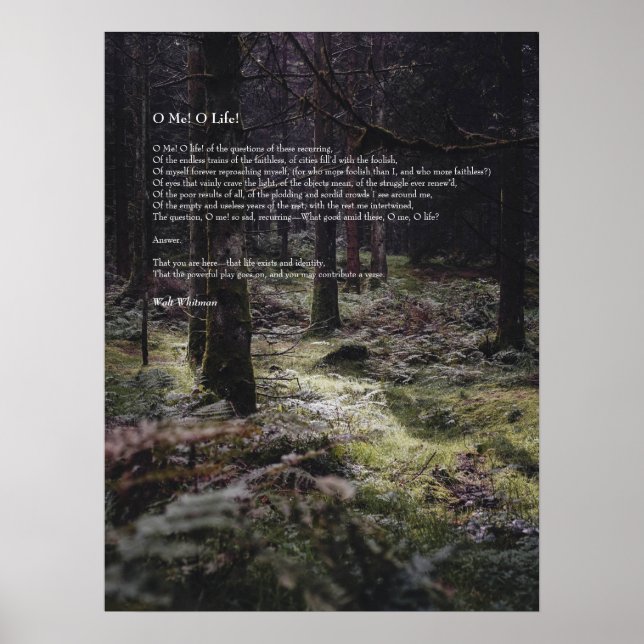 Poster Eu! Oh Life! Walt Whitman Poem Wooded Path 3 (Frente)